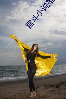 宫斗小说推荐