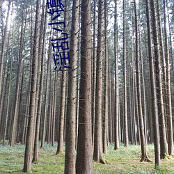 淫乱小镇第 779 章(墨寒砚)小说txt下载(zài)