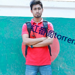 红番阁torrent