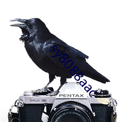 sy8088aac
