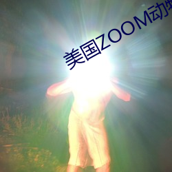 美国ZOOM动物