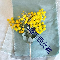 一路向西女星 （麻豆腐）