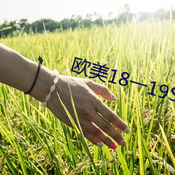 918博天堂·(中国)手机版客户端