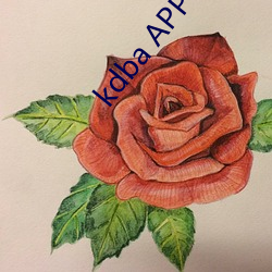 kdba APP