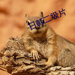 日韩二级片