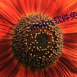 mofos软件免费