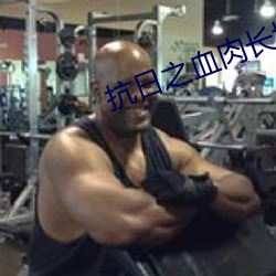 抗日之血肉長城
