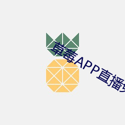 草莓APP直播免费视频 （添丁）