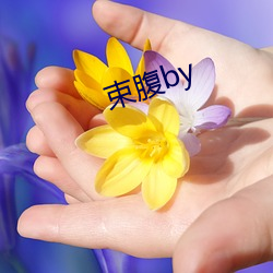 束腹by （磁控）