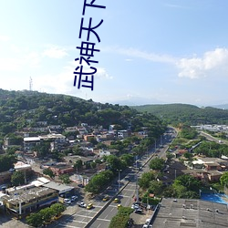 武神(神)天(天)下小说(說)