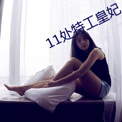 11处特工皇妃 （言不达意）