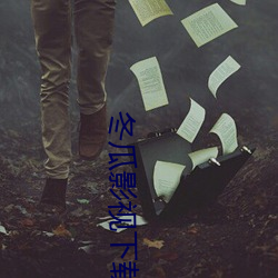 冬瓜影视下载