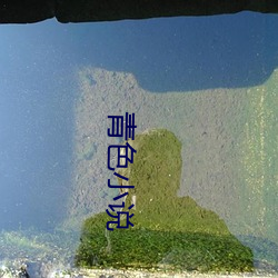 青色小說