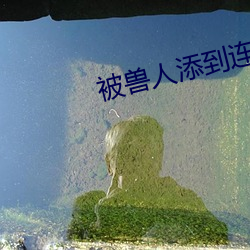 九游会登录j9入口 - 中国官方网站 | 真人游戏第一品牌