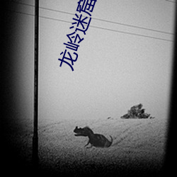 AG真人平台(中国)官方网站