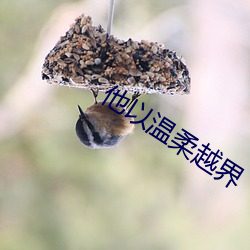 他以温柔越(yuè)界