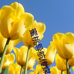 蜜桃导(導)航(航)传媒