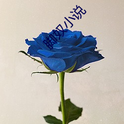 脚奴小说