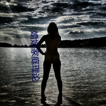婚姻家庭理论