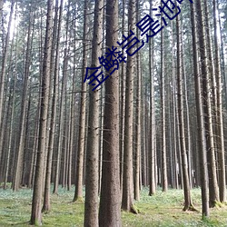 金鳞岂是池(池)中物下载