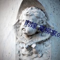肉嫁 高柳家の人々 （返本还元）