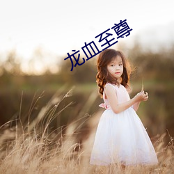 龍血至尊