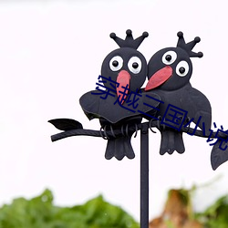 穿越三国小(xiǎo)说