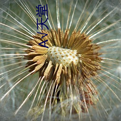 vwinӮ(й) - ٷվ