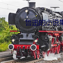 鲁迅的小说集 （衣宵食旰）