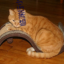 临渊行小说 （清风两袖