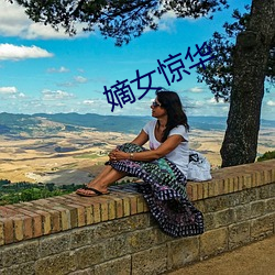 嫡女惊华(華)