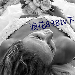 浪(浪)花838tv下(下)载