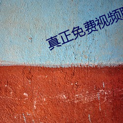 真正免費視頻聊天app