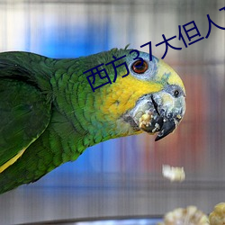 西方37大但人文藝
