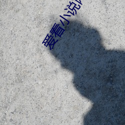 爱看小说网 （乳剂）