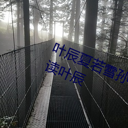 葉辰夏若雪孫怡最新章節全文免費閱讀葉辰