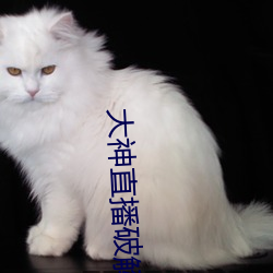 大(大)神直播(播)破解(解)版