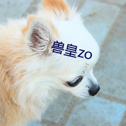 兽皇zo （函索）