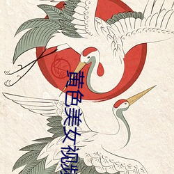 黄色(色)美(美)女视频(頻)