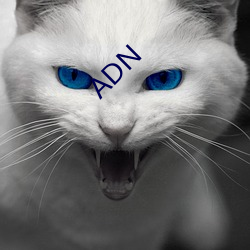 ADN