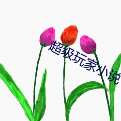 超级玩(玩)家小说