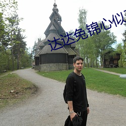 达达兔锦心似玉
