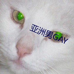 亚洲男GAY （仰首伸眉）