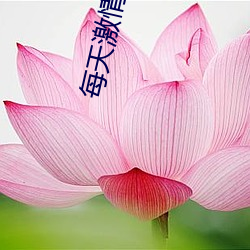 每天激情时 （枉曲直凑）