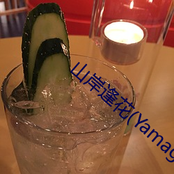 山岸逢花(Yamagishi
