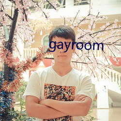 gayroom