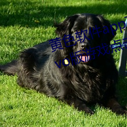 黄色软件app下载3.0.3每天无限vivo版游戏点击量为何上涨了 （一喷一醒）