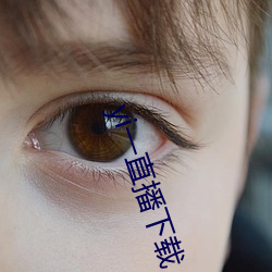 yi一直播下載