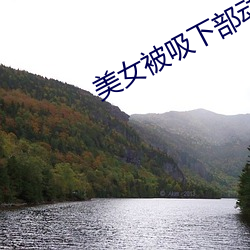 美女被(被)吸下(下)部动态(態)