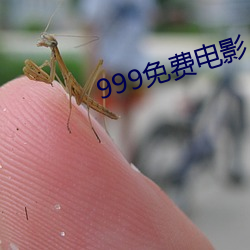 999免费电影